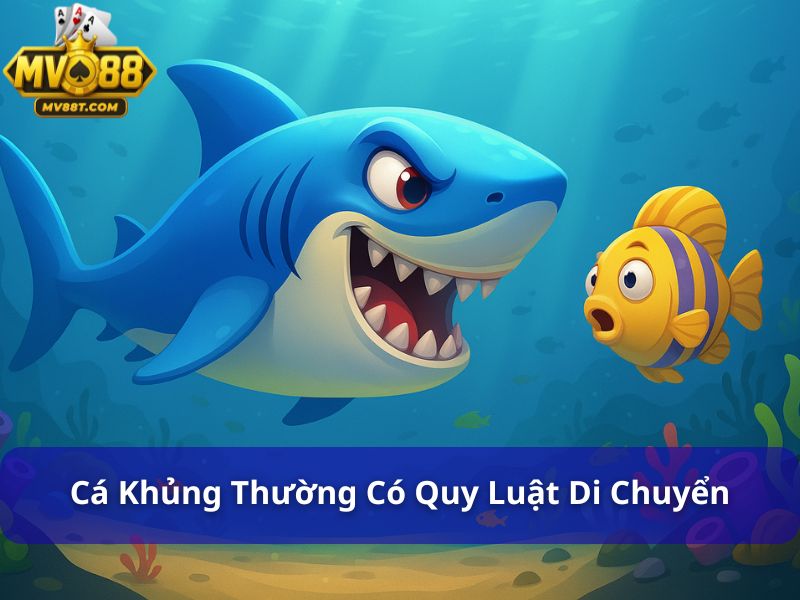 Mẹo Săn Cá Lớn Giúp Bạn Trúng Cá Khủng Dễ Dàng Cá khủng thường có quy luật di chuyển