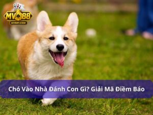 chó vào nhà đánh con gì