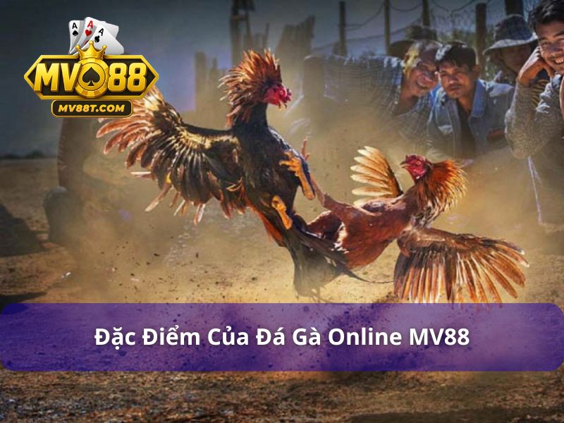Các điểm nổi bật của sảnh chơi đá gà tại MV88
