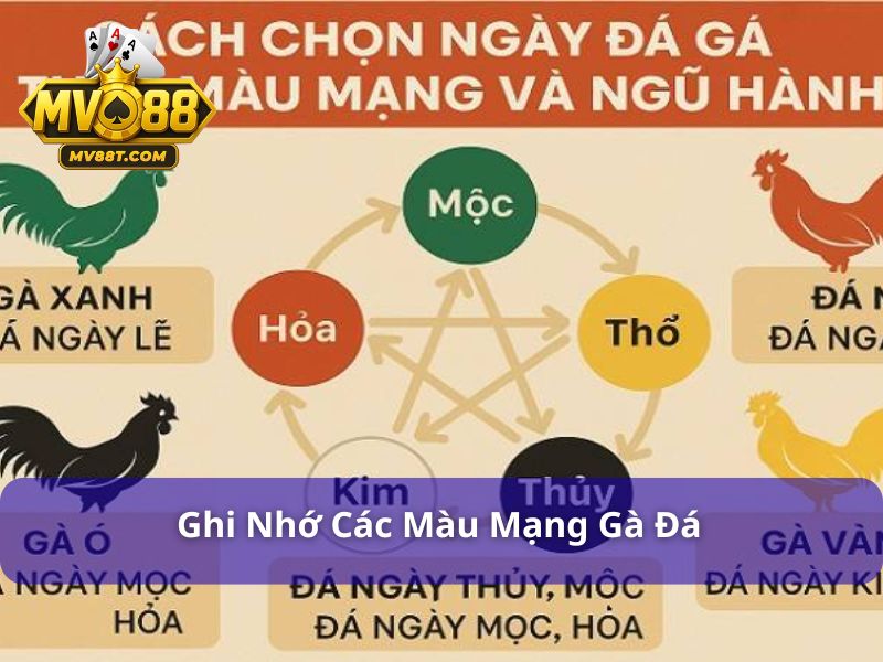 Màu Mạng Gà Đá Ngày Hôm Nay - Tuyệt Chiêu Xem Chuẩn Xác Nhất Ghi nhớ các màu mạng gà đá hiện nay