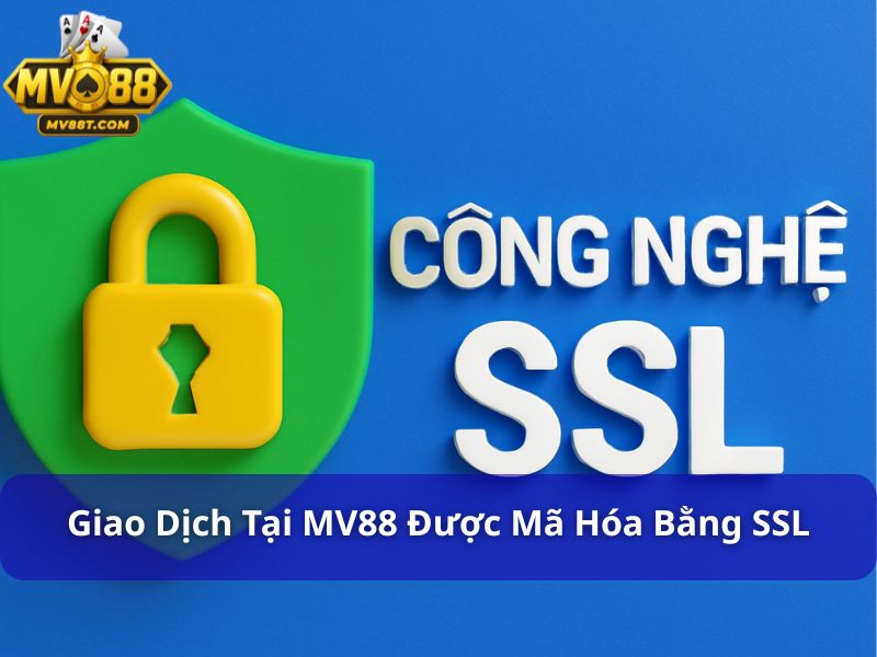 Chính Sách Bảo Mật MV88: Bảo Vệ Dữ Liệu Người Chơi Tuyệt Đối Mọi giao dịch tại MV88 đều được mã hóa bằng công nghệ SSL