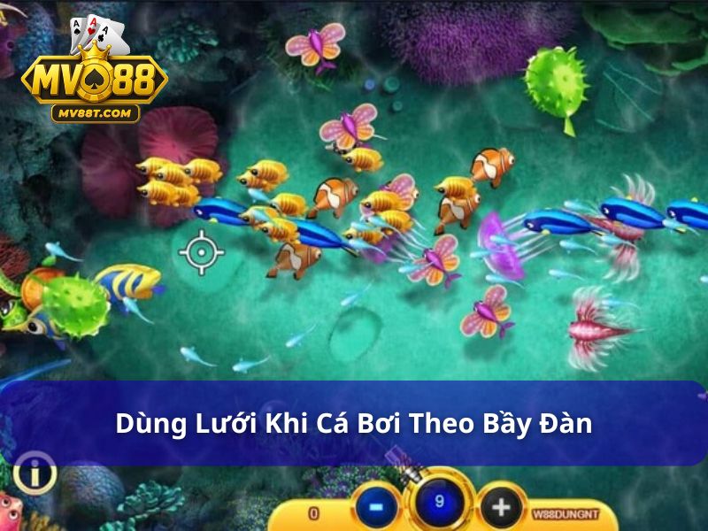 Hướng Dẫn Sử Dụng Bom, Lưới Và Pháo Hiệu Quả Tại MV88 Nên sử dụng lưới khi xuất hiện cá theo bầy đàn