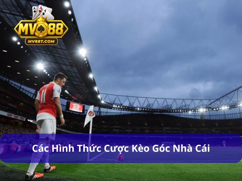 Kèo Góc Nhà Cái Là Gì? 3+ Bí Kíp Soi Chuẩn Dành Riêng Cho Newbie Bật mí các kiểu cược kèo góc phổ biến nhất