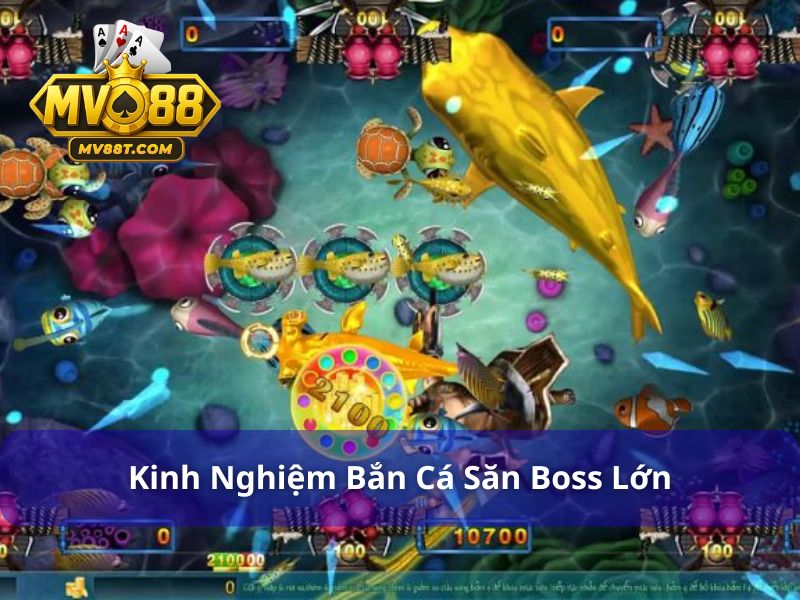 Kinh nghiệm bắn cá săn được boss lớn
