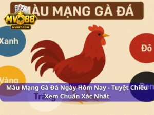 màu mạng gà đá ngày hôm nay