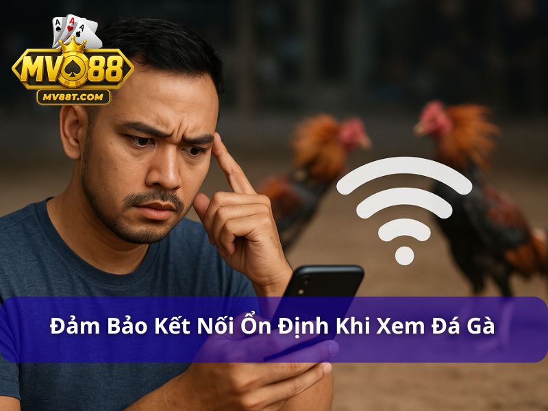 Trang Web Đá Gà Trực Tiếp Uy Tín Và Hấp Dẫn Mv88 Nhớ kiểm tra kết nối khi xem đá gà
