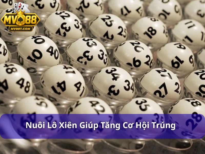 Cách nuôi lô bằng Excel: Quản lý lô đề dễ dàng, thông minh Nuôi lô xiên giúp tăng cơ hội trúng