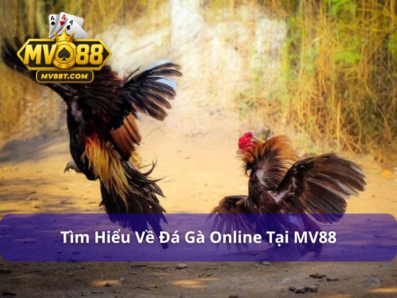 Tìm hiểu đá gà online là gì
