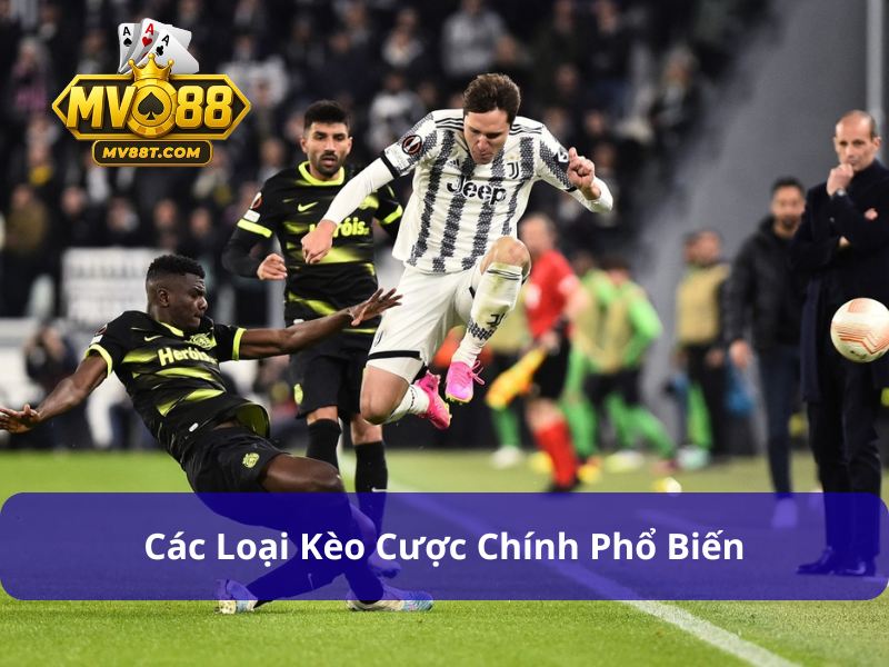 Nhiều kèo châu Âu khác nhau với biến thể hấp dẫn