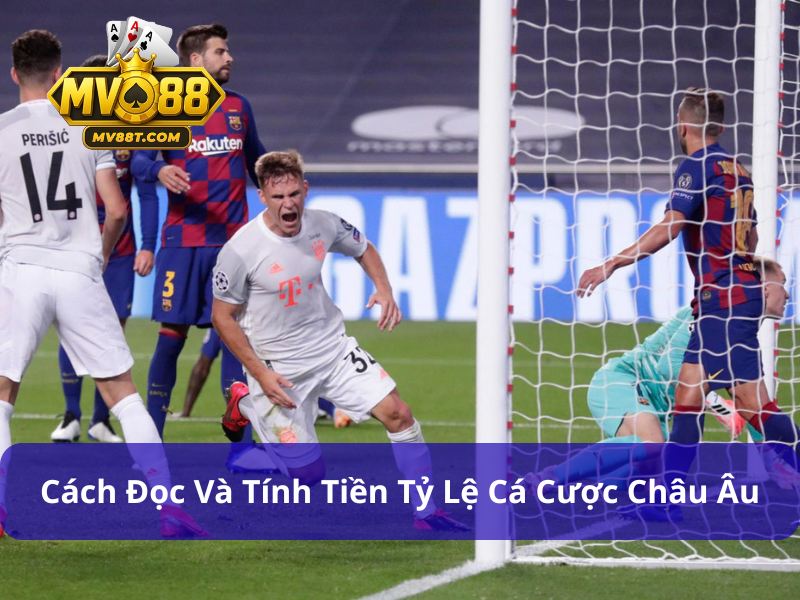 Tỷ lệ cá cược châu Âu trên bảng cược khá đa dạng
