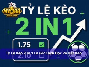 Tỷ lệ kèo 2 in 1