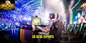 Cac Hinh Thuc Ca Cuoc 2025 3
